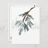 雪の青いトウヒの枝ウィンターウッドランドシーン ポストカード (正面/裏面)