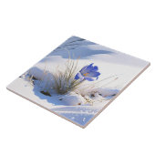 雪の青い山クロッカスリボーン花 タイル (側面)