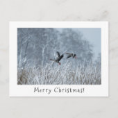 雪の風景のクリスマスカードでグレイラグのゲーゼ。 シーズンポストカード (正面)