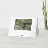 雪の飛んでいる中 カード (裏面)