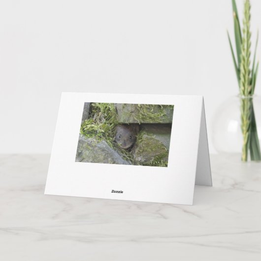 雪の飛んでいる中 カード (裏面)