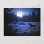 雪の馬のクリスマスポストカードをダッシュイン シーズンポストカード (正面)