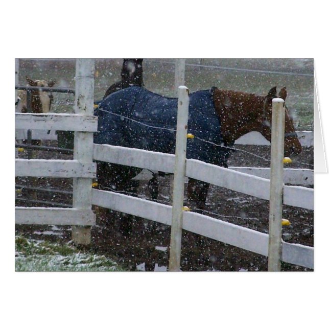 雪の馬 (正面横)