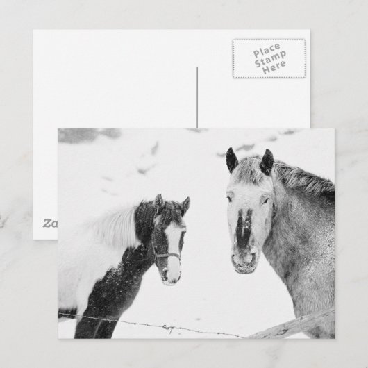 雪の馬 ポストカード (正面/裏面)