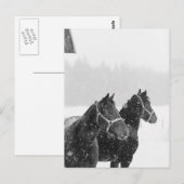 雪の馬 ポストカード (正面/裏面)