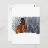 雪の馬 ポストカード (正面/裏面)