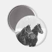 雪の馬 マグネット (正面/裏面)