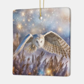 雪の魔法のクリスマスにフクロウ セラミックオーナメント (左)