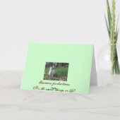 雪の鳥5 シーズンカード (裏面)