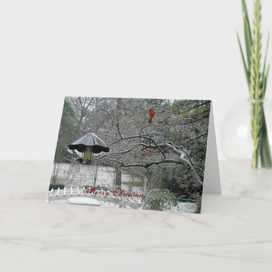 雪の鳥5 シーズンカード (正面)