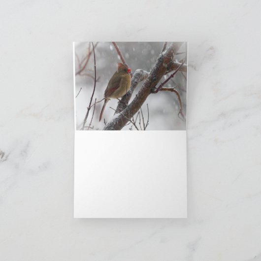 雪の鳥 カード (内部)