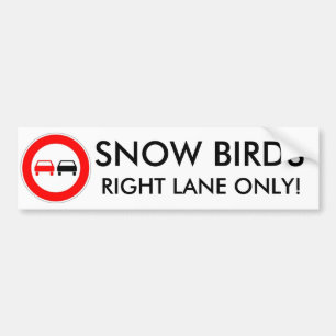 雪の鳥 バンパーステッカー
