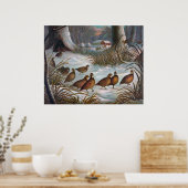 雪の鳥 ポスター (キッチン)