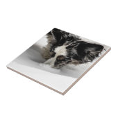 雪の鼻のコーギー タイル (側面)