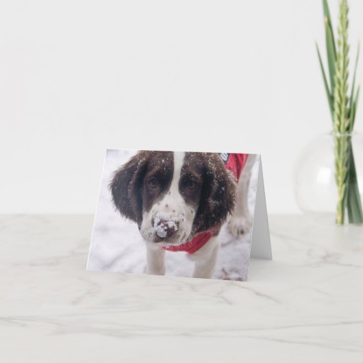 雪の鼻の子犬 シーズンカード (正面)