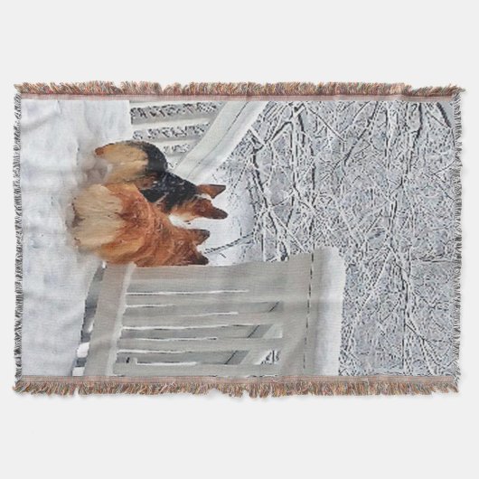 雪の2匹のコーギー スローブランケット (正面)