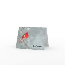 雪の(鳥)ショウジョウコウカンチョウ