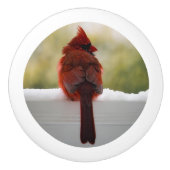 雪の（鳥）ショウジョウコウカンチョウ セラミックノブ (正面)