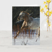 雪のAppaloosaの馬のランニング カード (黄色い花)