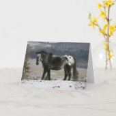 雪のAppaloosaの馬 カード (黄色い花)