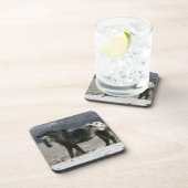 雪のAppaloosaの馬 コースター (右側)