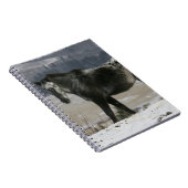 雪のAppaloosaの馬 ノートブック (右側)