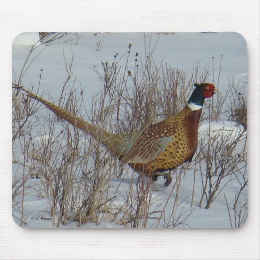 雪のB23リングネックのキジ マウスパッド (正面)