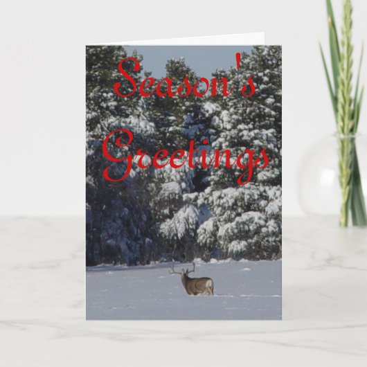 雪のD17ラバシカの木びき台 シーズンカード (正面)