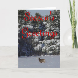 雪のD17ラバシカの木びき台 シーズンカード