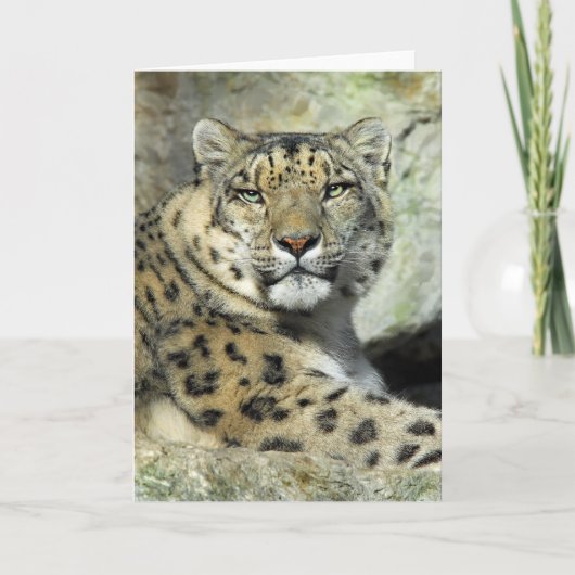 雪のLepordのポートレートカード カード (正面)