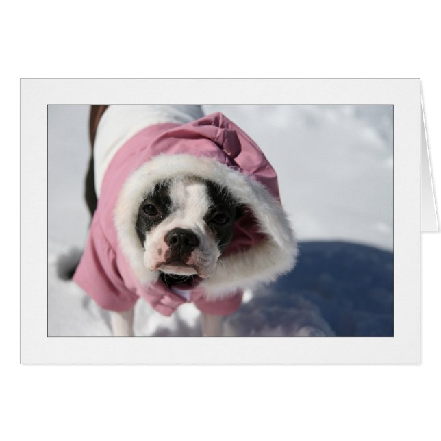 雪のMiley (正面横)