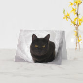 雪のMoby カード (黄色い花)