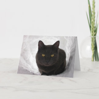 雪のMoby カード