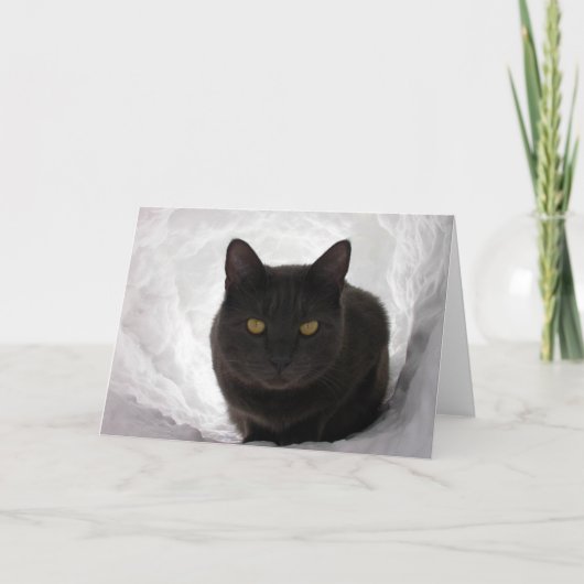 雪のMoby カード (正面)