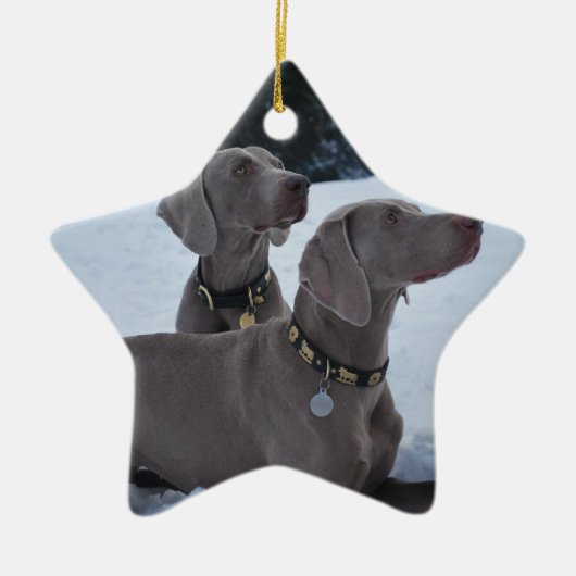 雪のWeimeraner セラミックオーナメント (正面)