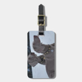 雪のWeimeraner ラゲッジタグ (正面縦)