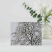 雪はがきにオークの木 ポストカード (スタンド正面)