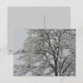 雪はがきにオークの木 ポストカード (正面/裏面)