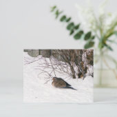 雪はがきに鳩 ポストカード (スタンド正面)
