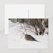 雪はがきに鳩 ポストカード (正面/裏面)