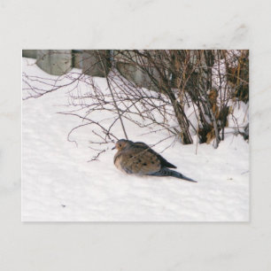 雪はがきに鳩 ポストカード