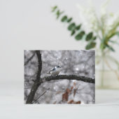 雪はがき中のわらぶき ポストカード (スタンド正面)