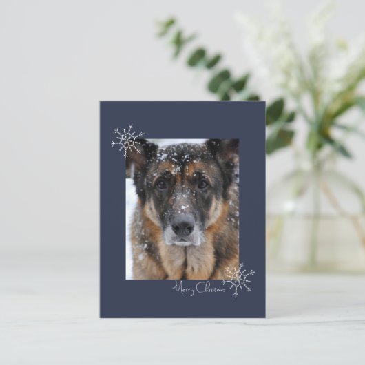 雪はがき入りのシェパード・メリークリスマス シーズンポストカード (スタンド正面)