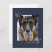 雪はがき入りのシェパード・メリークリスマス シーズンポストカード (正面/裏面)