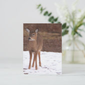 雪はがき内の鹿 ポストカード (スタンド正面)