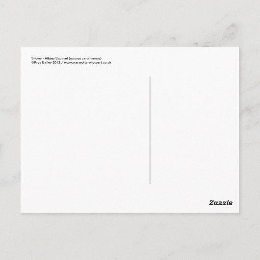 雪はがき ポストカード (裏面)