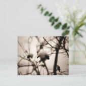 雪はがき ポストカード (スタンド正面)