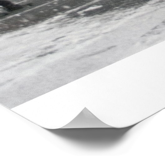 雪はプリントだ ポスター (角)