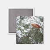 雪は松のコーンを覆った。 マグネット (正面/裏面)