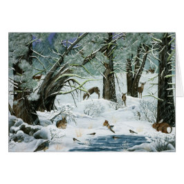 雪は降らないと言った